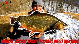 Winter Brook Trout Fishing West Virginia [upl. by Nytram]