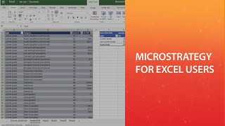 MicroStrategy for Excel Users [upl. by Linnea]