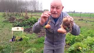 Comment faire quand on na pas de compost au potager [upl. by Dias]