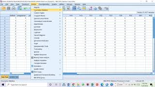 UJI STATISTIK DESKRIPTIF MENGGUNAKAN SPSS VERSI 25 DATA PRIMER DAN SEKUNDER [upl. by Meehar986]