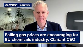 Falling gas prices are encouraging for EU chemicals industry Clariant CEO [upl. by Malony]