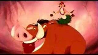 Lion King  Timon and Pumbaa Hula Dance [upl. by Vaclava]