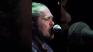 Citizen Cope quotSidewaysquot live on eTown shorts [upl. by Minnaminnie]