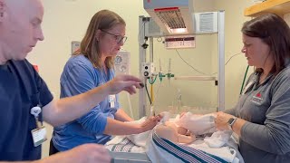 Neonatal Resuscitation in Five Minutes [upl. by Eckel]