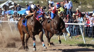 Carreras de Caballos en Cumpas 16 de Marzo 2019 [upl. by Terryn]