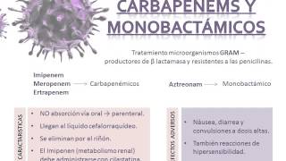 todo sobre antibioticos [upl. by Neddy15]