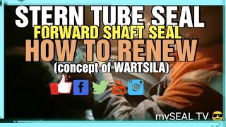 HOW TO RENEW FORWARD STERNTUBE SEAL [upl. by Adnima]