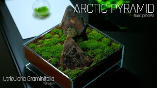 Arctic Pyramid  Terrarium Build Process with Utricularia Graminifolia [upl. by Sida]