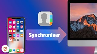 Comment synchroniser les contacts iPhone sur Mac  Tuto 2020 [upl. by Bob]