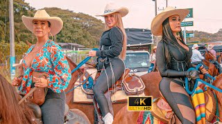 Gran Cabalgata en las Fiestas de Zarzal  Valle 😍 COLOMBIA 2024 [upl. by Eidna]