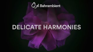 Delicate Harmonies [upl. by Schertz]