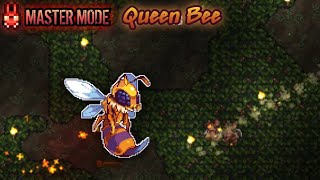 Terraria Master mode  No Damage Queen Bee Summoner [upl. by Enrichetta]