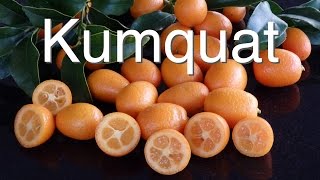 Kumquat Tree  What does it need to be healthy  Grafted Nagami [upl. by Ford404]