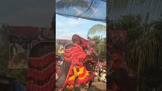 barongan ngamuk ngamuk kudokepang jaranancantik kudalumping reog caplokan barongan shotrs [upl. by Ellehcem]