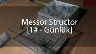 Messor Structor  Günlük 1 [upl. by Mcgraw385]