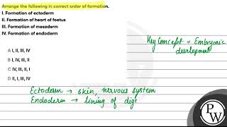 Arrange the following in correct order of formation I Formation of ectoderm II Formation of h [upl. by Alohs]