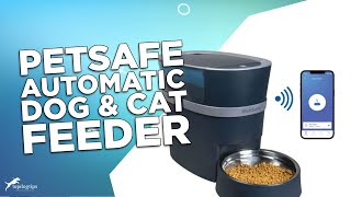 Review PetSafe Automatic Dog amp Cat Feeder [upl. by Airotkiv483]