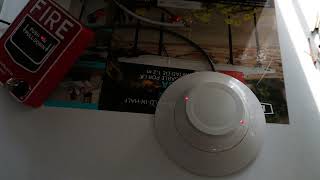 Fire Alarm wiring tutorial Fire Lite ES50xAddressable Ep 4 add smoke detectorclass B SLC [upl. by Roeser]