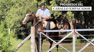 🔥🐎 PROGRESOS DE CABALLO EMPACADOR  Antes y después 🔥🐎 [upl. by Deadman]