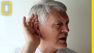 Take the HighFrequency Hearing Test  Brain Games [upl. by Ahcorb276]