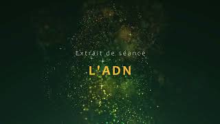 Extrait de séance  LADN [upl. by Anairam]