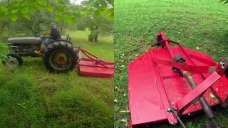 1955 Massey Ferguson TO35 First Time Brush Hogging in 21 Years [upl. by Mettah]