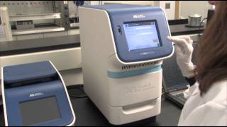 Amplify Sample with The StepOnePlus™ Real Time System qPCR step 6 [upl. by Amilah]