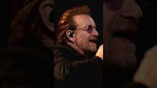 with or without you u2 live shortsyoutube shorts fyp [upl. by Shaia868]