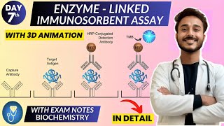 enzyme linked immunosorbent assay elisa biochemistry  Animation [upl. by Eirret]