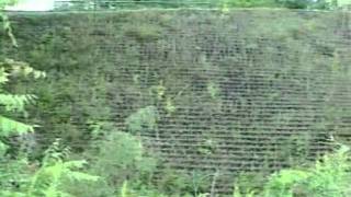 Vegetated GEOWEB® Geocell Retaining Wall [upl. by Vinita]