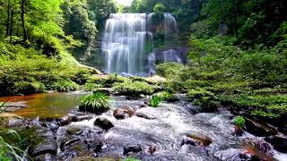 Waterfall flowing over rocks in forest 4k Relaxing flowing water White Noise for Sleep Meditation [upl. by Adelia]