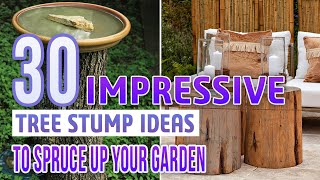 30 Impressive Tree Stump Ideas To Spruce Up Your Garden [upl. by Hocker550]