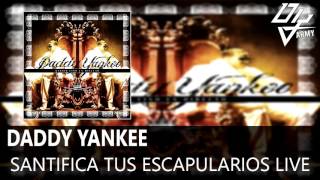 Daddy Yankee  Santifica Tus Escapularios Live  Barrio Fino En Directo [upl. by Yenduhc]