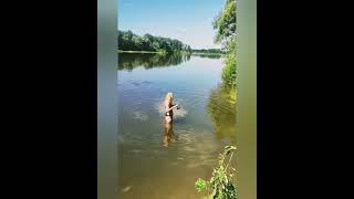 Схоже на Sega Bass Fishing sega bassfishing desna fishing fishingukraine [upl. by Engvall]