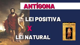 ANTÍGONA  A Trilogia Tebana Sófocles  Direito POSITIVO x Direito NATURAL [upl. by Ytineres]