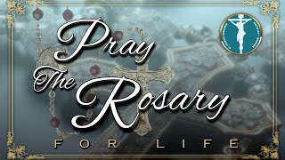 ROSARY FOR LIFE  MT Initiative CI 128 Rosary Catholic ProLife Christianity Montana BVM [upl. by Tips]