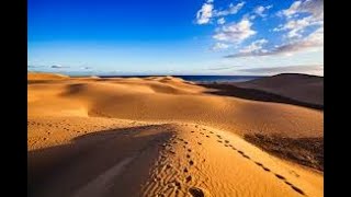 Dunas de Maspalomas  Playa de Maspalomas  Gran Canaria Canary Islands 🇪🇸 [upl. by Ayel]