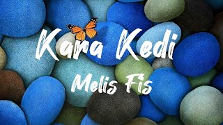 Melis FisKara KediLyrics [upl. by Mazman]