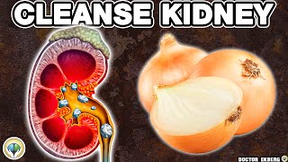 Top 10 SUPER FOODS That Can Heal Your KIDNEYS [upl. by Haldi]