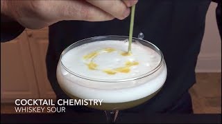 Basic Cocktails  How To Make The Whiskey Sour Reverse Dry Shake [upl. by Idnis]