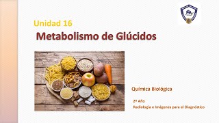 Química Biológica Metabolismo Glúcidos 1º parte Glucogenogénesis Glucógenolisis [upl. by Acisseg]