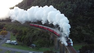 Ab 608 and the Marlborough Flyers Kekerungu Steam Train [upl. by Bartram]