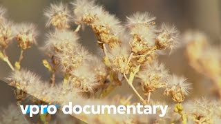 Seeds battles  The Doomsday vault  VPRO documentary  2013 [upl. by Leahicm344]