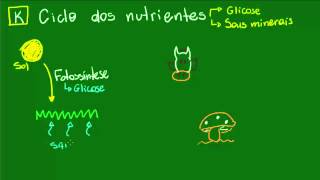 Ciclo dos nutrientes  Ecologia  Biologia [upl. by Jorgensen41]