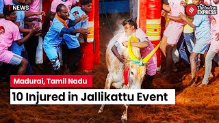 Jallikattu 2024 10 Individuals Injured In Palamedu Jallikattu Event In Tamil Nadu [upl. by Atinauq]