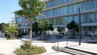 Montpellier  L’Université PaulValéry inaugure la bibliothèque Atrium entre échanges et innovation [upl. by Ronyar487]