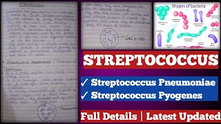 Streptococcus  streptococcus Pyogenes  streptococcus pneumoniae [upl. by Leirza]