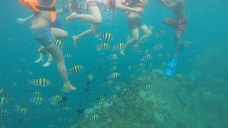 Lusong Gunboat Wreckage Snorkelling  Coron Palawan [upl. by Shult370]