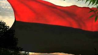 Himna na VMRO  Anthem of IMRO [upl. by Adnilra]