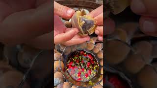 Yummy Snail from natural source 125 [upl. by Damali]